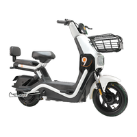 Le vélo électrique à moteur silencieux de 500 watts, de conception récente, est disponible en plusieurs couleurs avec un cadre en acier.