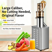 Extracteur de jus industriel en acier inoxydable, puissance 750W, capacité 5L, fonctionnement silencieux, éjection automatique des pulpes, grille