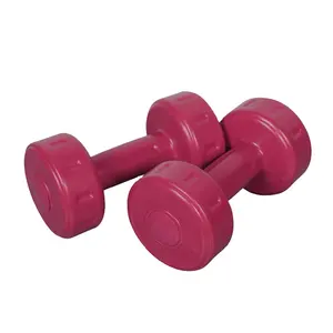 Özel Logo Dumbbells renk 5KG çimento dambıl için kadın yoga pantolonu ağırlık kum plastik çimento dambıl