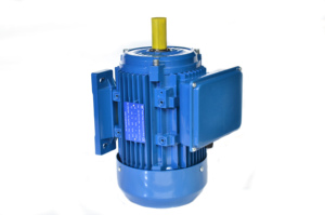 มอเตอร์เหนี่ยวนำไฟฟ้ากระแสสลับเฟสเดียว 220V แบบคาปาซิเตอร์คู่ 3 กิโลวัตต์ 50/60 เฮิรตซ์ แบบติดตั้งบนฐาน พร้อมราคาที่ดีที่สุด - Product Image 3