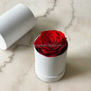 Équateur roses conservées 1pc fleur préservée boîte-cadeau finie <span class=keywords><strong>rose</strong></span> petite boîte à la main pour <span class=keywords><strong>rose</strong></span> préservée - Product Image 4