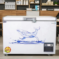 Congélateur coffre horizontal à porte supérieure 280L, congélateur à température unique, vente en gros, congélateur profond