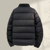 Nouvelle veste d'hiver pour homme en duvet de canard blanc à 90 %, col montant, fermeture éclair, style décontracté et tendance