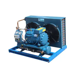Factory hot Sales Piston Condenser Unit with Compressor refrigeration freezed Equipment