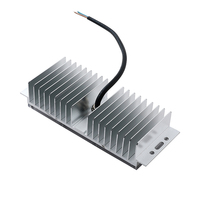Module LED - Fabricant - Puissance maximale 36W - Étanche IP67 - Module LED SMD pour éclairage public - Application routière