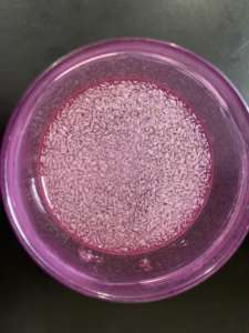 Hongda 100 örgü Pyllium kabuğu Fiber <span class=keywords><strong>Psyllium</strong></span> kabuğu tozu - Product Image 6