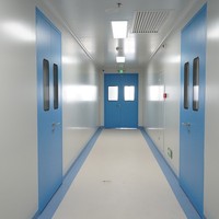 Porte battante en acier pour salle blanche, bleue, avec fenêtre simple vitrée, étanchéité hermétique, pour hôpital et laboratoire