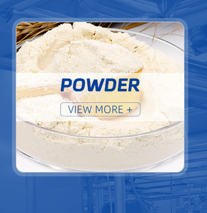 プロバイオティクス粉末 高CFU 乳製品不使用 大人向け腸内健康プロバイオティクス粉末 OEM ODM 乳製品不使用プロバイオティクスブレンド OEM ODM - Product Image 5