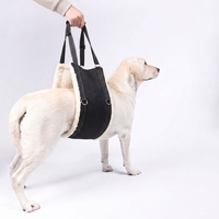 Ceinture recuperation reglable harnais assistance pattes arrieres mobilite antidrapante nylon chiens ages handicapes