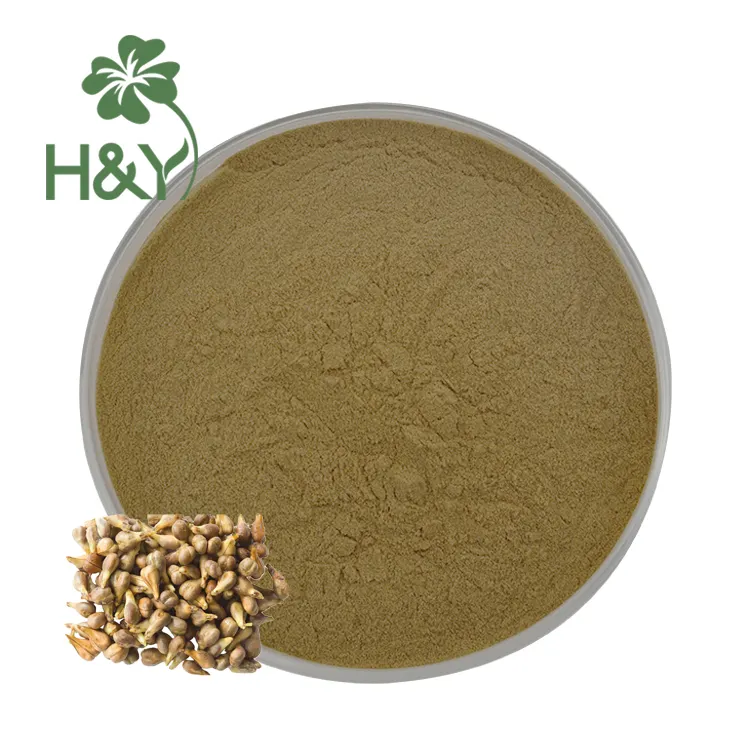 Factory Price Grape Seed Powder Grape Seed Extract Grape Seed Extract