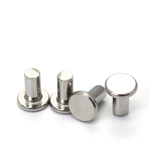 Rivets à tête plate de haute précision, micro-rivets à pointe droite - Product Image 1