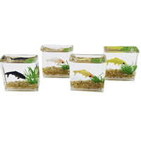 Mini aquarium en plastique pour maison de poupée, modèle de bassin miniature pour poissons rouges, accessoires de décoration de scène de jardin, Saint-Valentin, Diwali