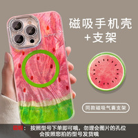 Coque de téléphone magnétique en TPU mat à motif dessin animé pour 17/16/15 Pro Max/Feather/Summer Design