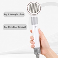 Sèche-cheveux et peigne de toilettage pour animaux de compagnie, silencieux, électrique, en ABS, pour chiens et chats à poils longs