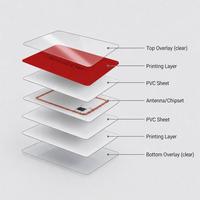 Fabricante de Tarjetas NFC PVC Ntag(R) 216, Impresión de Tarjetas Inteligentes sin Contacto con Chip NXP, para Programas de Acceso, Pago y Fidelización