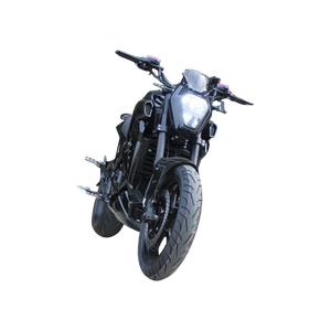 Divertidor para el Público 	 Torque Máximo de 60NM 	 Servicio de Mensajería 	 Motocicleta chopper 	 Muestras de equitación - Product Image 1
