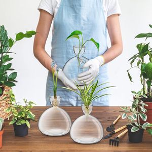 Jarrón grande y moderno con bombilla de cristal transparente para interiores, <span class=keywords><strong>maceta</strong></span> hidropónica para macetas para amantes de la jardinería, florero de semillas de bellota, <span class=keywords><strong>aguacate</strong></span> - Product Image 6
