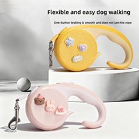 Laisse de chien rétractable automatique 3D en forme de dessin animé, laisse de marche pour chiens de taille moyenne et petite, chaîne en ABS pour animaux de compagnie Teddy