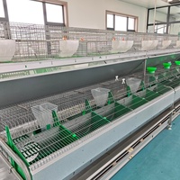 Fabricant vend directement des cages d'élevage de lapins de nouvelles spécifications multiples, en acier galvanisé, faciles à nettoyer