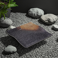 Plateau de service plat en acier inoxydable, 10.6 pouces, grand format, style japonais, pour buffet, prix de gros