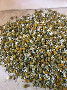 High Quality Chamomile <b>Flowers</b> Exclusive Export to Egypt Supervised Farm Production Raw & Processed <b>Single</b> Spices & Herbs - Product Image 4