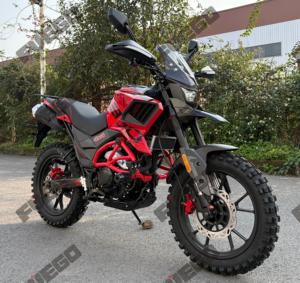 Moto FUEGO <span class=keywords><strong>Tekken</strong></span> 250 300cc de course, moto de rue, nouveau design, pas cher en Chine - Product Image 3
