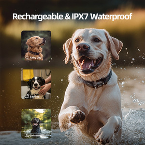 Clôture électronique sans fil intelligente <span class=keywords><strong>GPS</strong></span> NCI PET, clôture électronique pour <span class=keywords><strong>chien</strong></span> imperméable pour l'extérieur, collier de dressage de <span class=keywords><strong>chien</strong></span> à limite virtuelle - Product Image 4