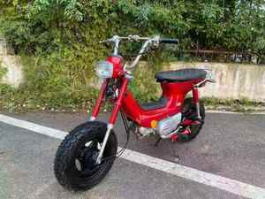 Moped à essence <span class=keywords><strong>50CC</strong></span> 49CC Pocketbike pour compagnons animaux - Product Image 2
