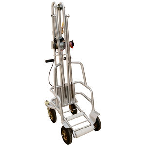 Trasportatore Elettrico per Suini Morti Wen's, Veicolo Elettrico per il Trasporto di Suini, Veicolo per il Trasporto di Suini per Allevamenti - Product Image 2