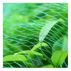 Reti di plastica per moscerini agricoli della frutta, reti per parassiti vegetali, reti per parassiti rete da piscina per rete antiinsetti