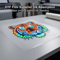 Rouleau de film PET DTF compatible 30cm 33cm 60cm pour impression par transfert thermique, film PET premium double face mat à décollement à chaud