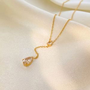 Dog Necklace Cross Border Multi Exclusive Factory Direct Wholesale Sweat Proof <b>Bracelet</b> 18k Gold Plated Color - Product Image 4