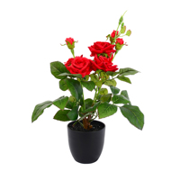 Dekorative Handgefertigte Künstliche Rote Rose Bonsai Künstliche Topfrose Pflegefreie Blume für Heim- und Hoteldekoration Zurück zur Schule