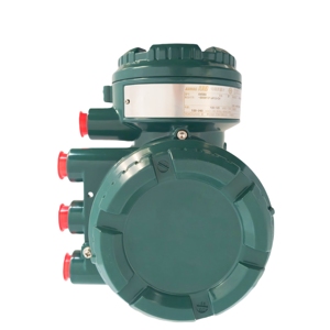 Débitmètre Yokogawa Série AXG à prix réduit – Modèles AXG4A, AXG040, AXG080 – Débitmètre Yokogawa AXG à prix avantageux - Product Image 2