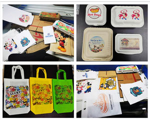 Impresora Digital de Inyección de Tinta a Color de Una Sola Pasada para Cajas de Cartón Corrugado y Bolsas de Tela No Tejida - Product Image 4