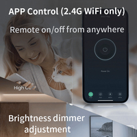 Interruptor de Luz Táctil Regulable de 2 Canales con Temporizador, 250V 10A, Estándar Americano, Inalámbrico, Compatible con Alexa y Google Assistant para Hogar y Oficina