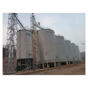 Grain wheat corn soybean storage flat bottom silo with turn key solution