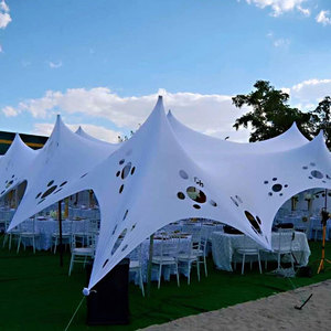 <span class=keywords><strong>2019</strong></span> Nouvelle Conception De Haute Qualité En Plein Air Style Libre Tente Extensible Pour Abri De Voiture Ou De Mariage - Product Image 4