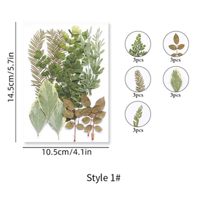 ZS025 Plantes séchées, fleurs pressées, verdure et fougères pour décorations de Noël et de remise de diplôme, pour la création de savons, bougies, cadres et colliers - Product Image 4