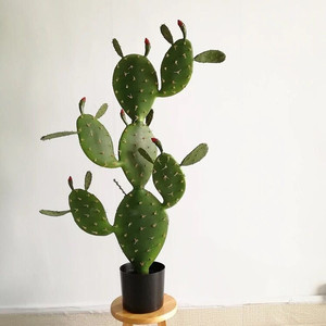 <span class=keywords><strong>Planta</strong></span> de Cactus Artificial para decoración al aire libre, para Hotel y jardín, de alta calidad, venta al por mayor - Product Image 1