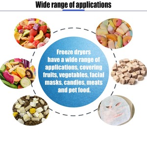 工業用凍結乾燥機 ステンレス製 イチゴ・マンゴー・ブルーベリー食品保存用 - Product Image 5