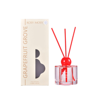 200ml Home Fragrance Rietdiffuser Elegante Glazen Fles Fruitgeur Luchtverfrisser Rietdiffuser Met Luxe Geschenkverpakking