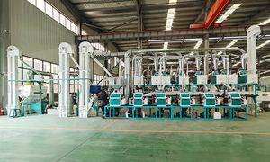 Machine <span class=keywords><strong>de</strong></span> broyage <span class=keywords><strong>de</strong></span> <span class=keywords><strong>farine</strong></span> <span class=keywords><strong>de</strong></span> blé <span class=keywords><strong>de</strong></span> production 20 <span class=keywords><strong>T</strong></span>/24H - Product Image 6