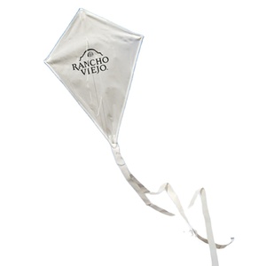 Wholesale custom multi-pattern multi-color logo high quality cheap children kite