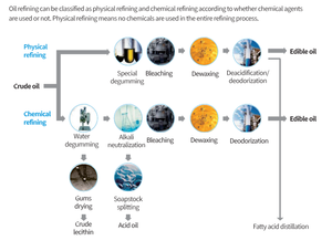 Presse automatique à froid et à chaud pour huiles de soja et de noix, marque Dingsheng, 380V, facile à utiliser, capacité de 100 kg/h - Product Image 5