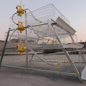 Offre Spéciale prix d'usine Cage automatique pour animaux de ponte Batterie de poulets Cage pour volailles poules à œufs utilisée dans la grande ferme avicole sud-africaine - Product Image 1