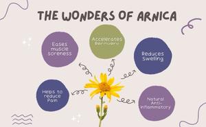 <span class=keywords><strong>Gel</strong></span> Tópico para Moretones de Marca Privada OEM ODM, <span class=keywords><strong>Gel</strong></span> Natural de Árnica y Bromelina para el Tratamiento de Moretones y Hinchazón - Product Image 6