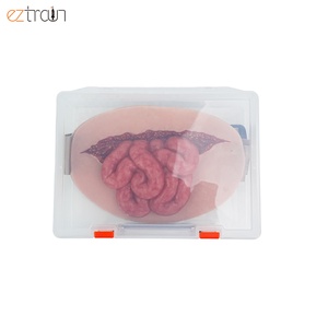 Simulador de Evisceración Abdominal Portátil con Simulador de Intestino <span class=keywords><strong>y</strong></span> Entrenador de Aplicación de Pansamentos para Ciencias Médicas - Product Image 6