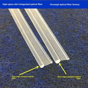Falda Transparente Blanca Lechosa Súper Brillante con Borde Luminoso de 3mm, <span class=keywords><strong>Fibra</strong></span> Óptica Luminosa de Cuerpo Completo, Iluminación con Clasificación IP66 - Product Image 2