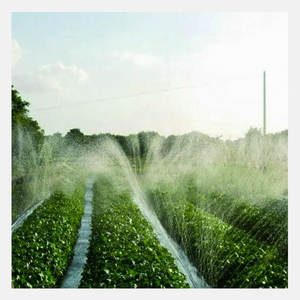 灌漑システムレインホースレインスプレーテープ農場および庭用灌漑マイクロ点滴灌漑システム - Product Image 1